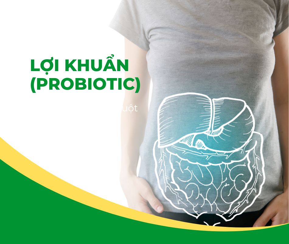 Bổ sung lợi khuẩn có lợi cho cơ thể