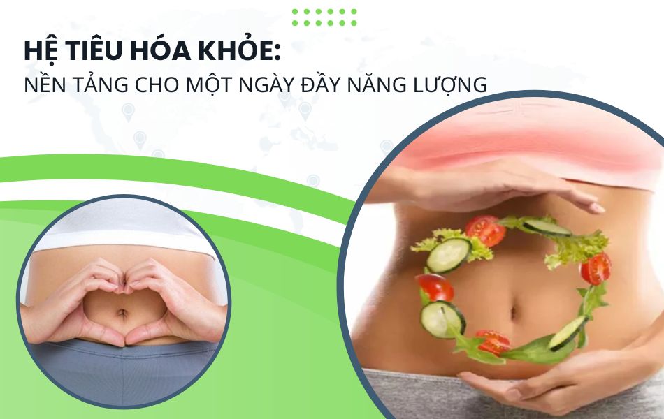Thói quen cho hệ tiêu hóa khỏe mạnh